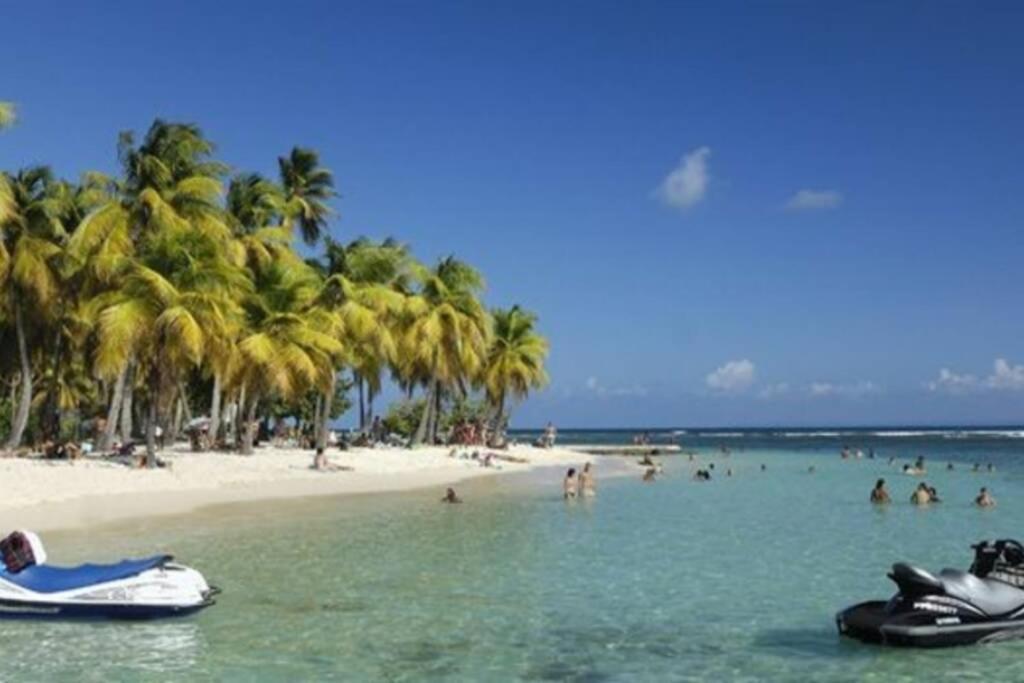 Gite Cajou Dans Jardin Tropical Ventile A Sainte-Anne Eksteriør billede