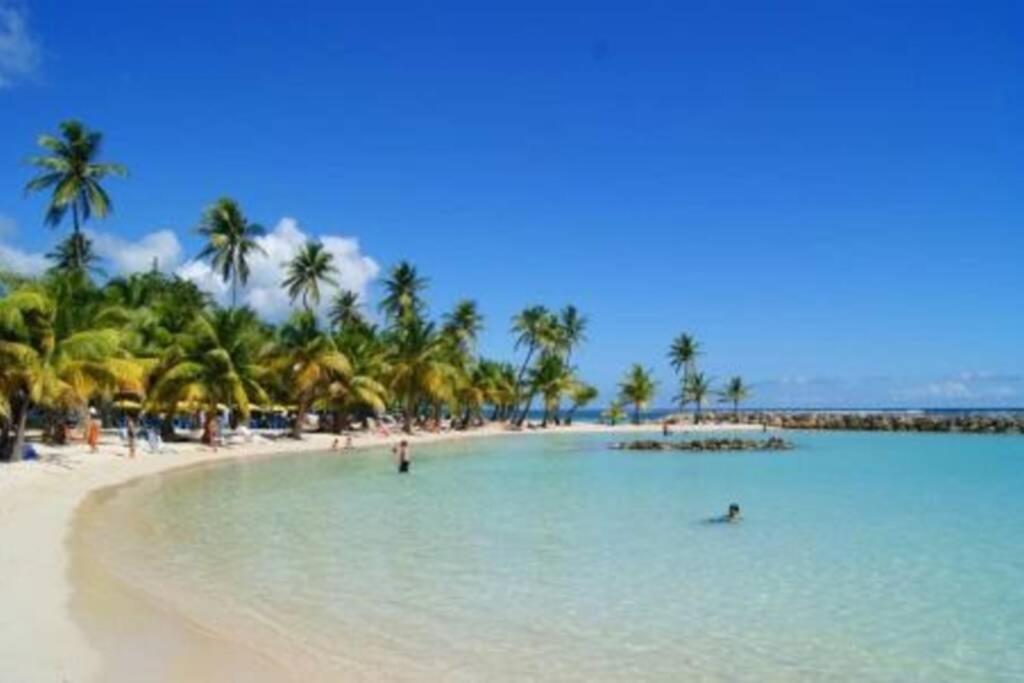 Gite Cajou Dans Jardin Tropical Ventile A Sainte-Anne Eksteriør billede