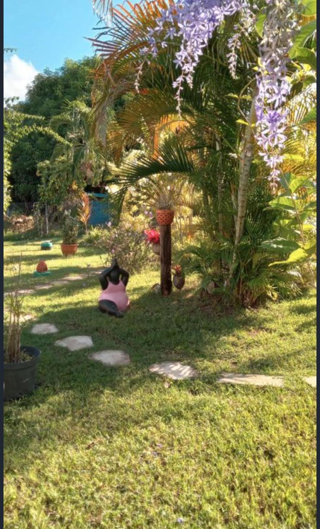 Gite Cajou Dans Jardin Tropical Ventile A Sainte-Anne Eksteriør billede