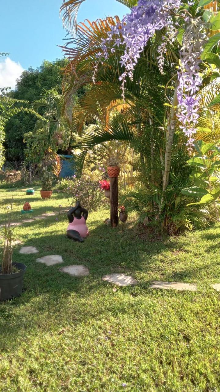 Gite Cajou Dans Jardin Tropical Ventile A Sainte-Anne Eksteriør billede